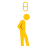 Arautocel