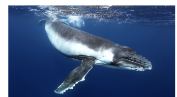 Screen Shot 2026-04-01 at 10.13.48 AM.png