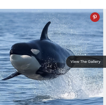 Screen Shot 2026-04-01 at 10.22.24 AM.png