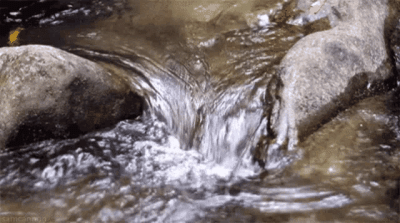 nature-water.gif