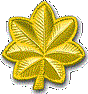 yhst-40641773927256_2271_509519663 - Copy.gif