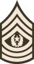 50px-Army-USA-OR-09b_(Army_greens).svg.png