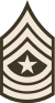 50px-Army-USA-OR-09c_(Army_greens).svg.png