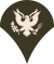 50px-Army-USA-OR-04b_(Army_greens).svg.png