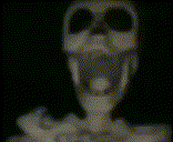skeleton :skeleton: